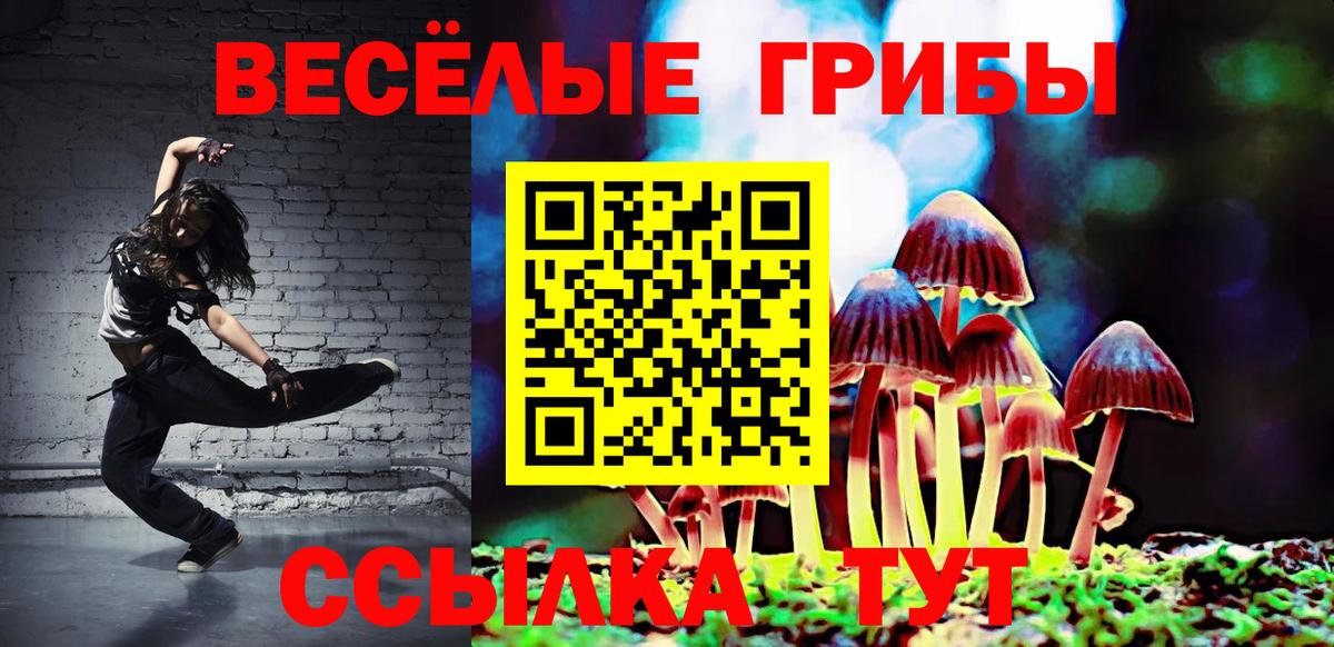 Псилоцибиновые грибы Psilocybe Кумертау